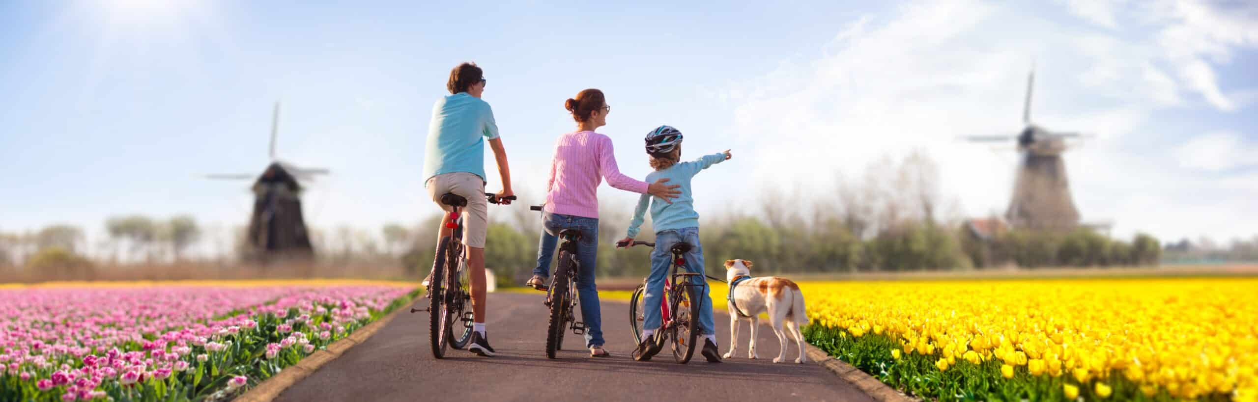Holland,Tulip,Fields.,Family,On,Bike,In,Blooming,Tulips,Fields.